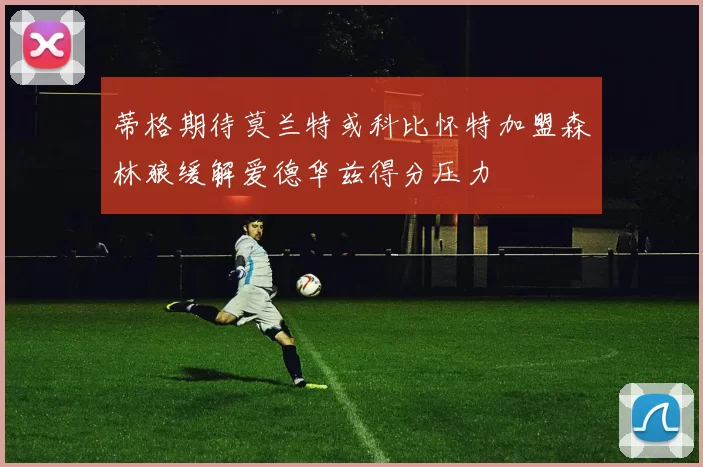 蒂格期待莫兰特或科比怀特加盟森林狼缓解爱德华兹得分压力